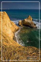 Punta Arquillo, Paracas National Reservation (214)