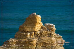 Punta Arquillo, Paracas National Reservation (222)