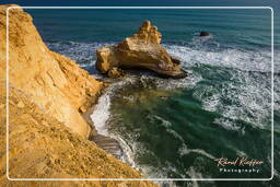 Reserva Nacional de Paracas (243) Punta Arquillo