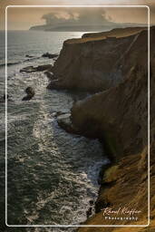 Punta Arquillo, Paracas National Reservation (245)