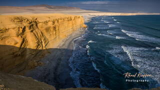 Réserve Nationale de Paracas, Punta Arquillo, Pérou