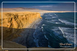 Paracas National Reservation (252) Punta Arquillo