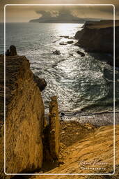 Punta Arquillo, Paracas National Reservation (254)