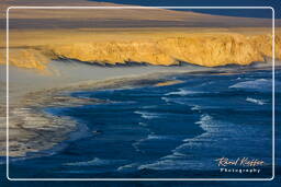 Reserva Nacional de Paracas (258) Punta Arquillo