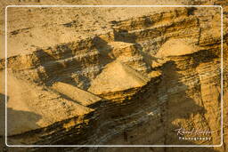 Punta Arquillo, Paracas National Reservation (273)