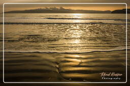 Yumaque beach, Paracas National Reservation (278)