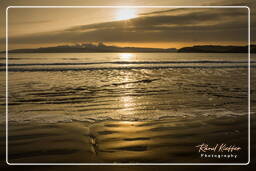 Reserva Nacional de Paracas (282) Playa Yumaque