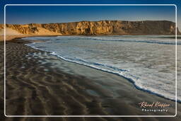 Yumaque beach, Paracas National Reservation (283)