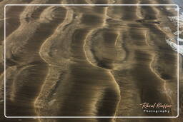 Yumaque beach, Paracas National Reservation (284)