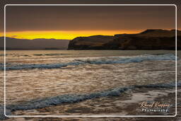 Riserva Nazionale di Paracas (298) Spiaggia di Yumaque