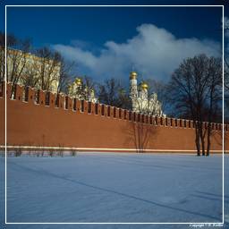 Moscú (8) Kremlin