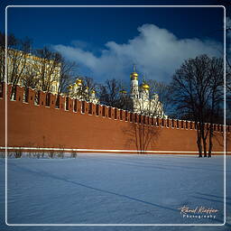 Moscú (8) Kremlin