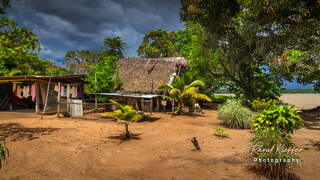 Bigiston, Suriname