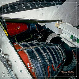 Space Shuttle Discovery, Kennedy Space Center (52)