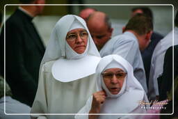 Papal audience (84)