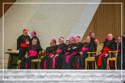 Audiencia papal (95)