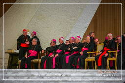 Papal audience (95)