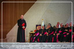 Papal audience (118)