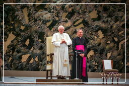 Papstaudienz (126)