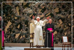 Papal audience (129)