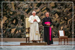 Papal audience (131)