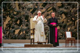 Papal audience (133)