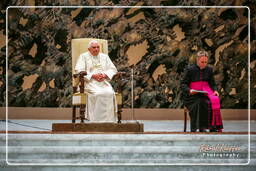 Papal audience (134)