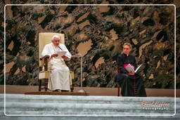 Papal audience (139)