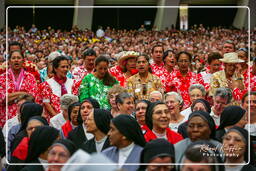 Papal audience (141)