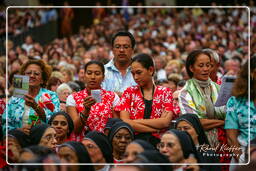 Papal audience (149)