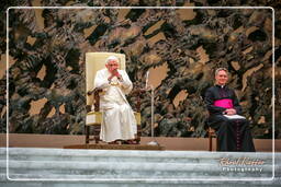 Papal audience (152)