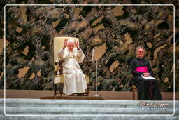 Papal audience (153)