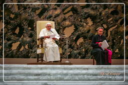 Papal audience (155)