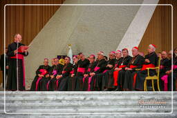 Papal audience (159)