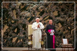 Papal audience (165)