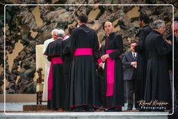 Papal audience (169)