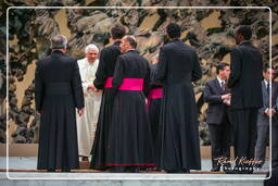 Papal audience (171)