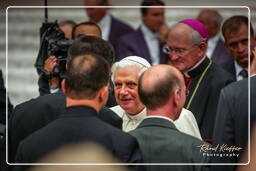 Papal audience (173)