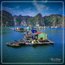 Baia di Halong (23)