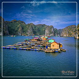 Halong Bucht (24)