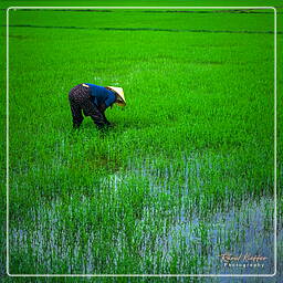 Hội An (2)