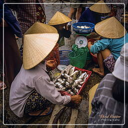 Hội An (28) Market