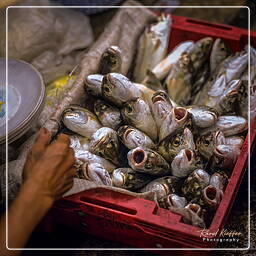 Hội An (29) Market