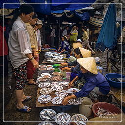 Market, Hội An (33)