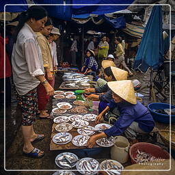 Hội An (33) Market