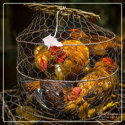 Market, Hanoi (22)