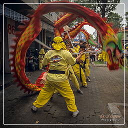 Saigon (7) Tet (Nouvelle année lunaire)