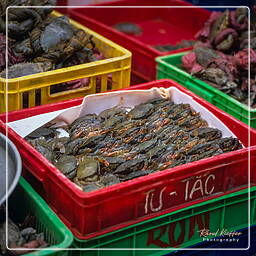 Market, Saigon (11)