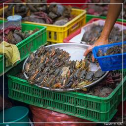 Ho Chi Minh City (12) Market