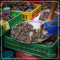 Saigon (12) Market